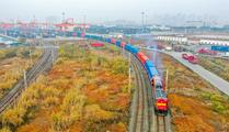 SW. China's Chengdu opens 1st enterprise-dedicated freight train to Vietnam