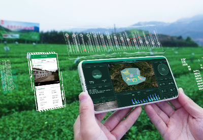  工信部公布2021年物联网示范项目 八马茶业“现代智慧农业茶园”上榜