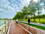 Greenways help eco-environmental protection in N.China's Hohhot