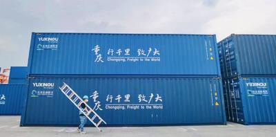 中欧班列（渝新欧）为中亚地区输送“中国造冷气”