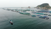 China's marine economy totals RMB2 trillion in Q1