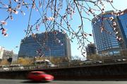High-quality institutions encouraged to open branches in Beijing with supporting policies