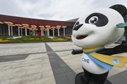China still huge magnet for foreign investment