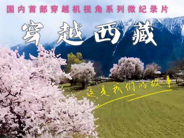 全球连线｜穿越西藏（四）：桃花映雪峰，这里是西藏波密！