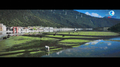 全球连线｜穿越西藏（八）·鲁朗小镇：高原山居图