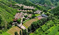 N.China's Lingqiu County takes organic agriculture as effective way to promote rural development