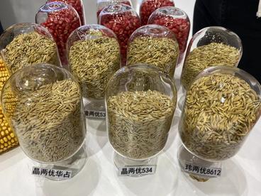 世界人工智能大会报道：“一碗好饭”背后的人工智能