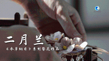 全球连线｜“中国风”簪花弘扬民族文化