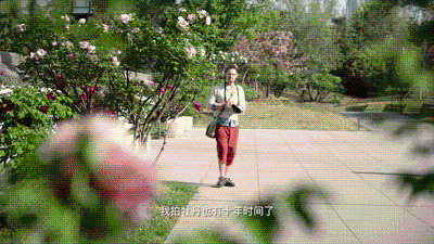 全球连线｜英国摄影师眼中的“牡丹花城”