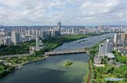 Third China (Guangxi)-ASEAN AI Summit to blaze new trial for China-ASEAN digital economic cooperation
