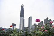 SW.China's Chongqing launches cross-border e-commerce industry park to enhance bilateral cooperation with Singapore