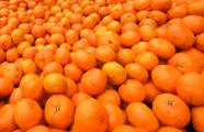 Zhejiang's first batch of exported mandarin oranges in 2022 targets North American markets