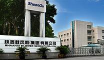 Shaangu Group extends presence in overseas market through booming intelligent manufacturing development