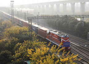 Zhejiang Agricultural Export Online Trade Fair kicks off to boost agricultural exports to Americas