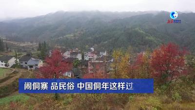 全球连线｜闹侗寨 品民俗 中国侗年这样过