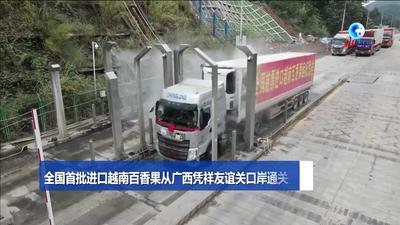 全球连线｜全国首批进口越南百香果从广西凭祥友谊关口岸通关