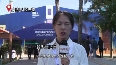 全球连线 | “中国传统制茶技艺及其相关习俗”申遗成功 向世界传递中华文化