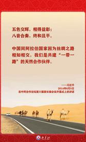 海报 | 指引中阿关系发展 习近平主席这样用典