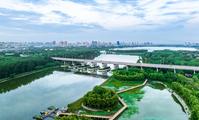 China Resilience: China's green development achievements impetus for high-quality int'l cooperation
