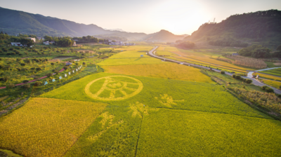 五粮液赵东被选树为“天府十佳首席质量官”