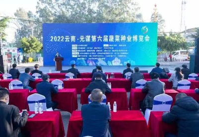 深入实施种业振兴行动 2022云南·元谋第六届蔬菜种业博览会开幕