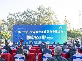 “跳出元谋看种业”——国家级制种大县研究谋划推进种业高质量发展