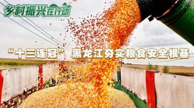 乡村振兴在行动丨“十三连冠” 黑龙江夯实粮食安全根基