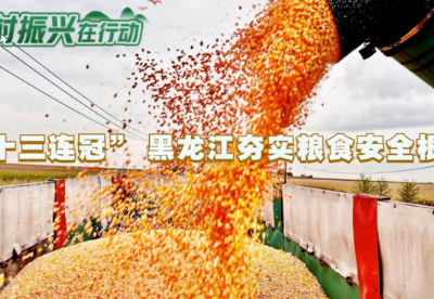 乡村振兴在行动丨“十三连冠” 黑龙江夯实粮食安全根基
