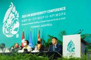 Chinese dairy giant Yili presents biodiversity conservation efforts at COP15