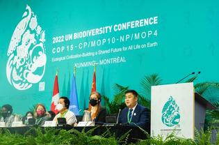 Chinese dairy giant Yili presents biodiversity conservation efforts at COP15