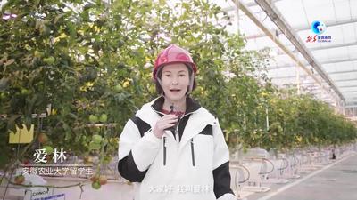 全球连线｜俄罗斯留学生爱林：我将把我的未来和中国联系
