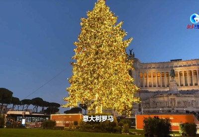 全球连线丨罗马市政府为圣诞树添加光伏板