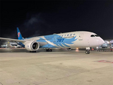 China Southern Airlines launches new freight route linking Shanghai and Mexico 