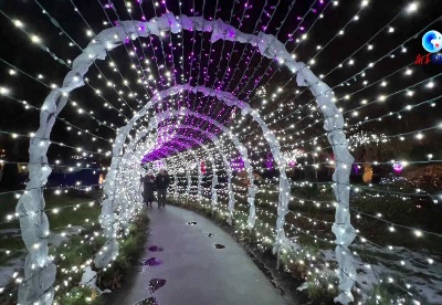 全球连线丨“打卡”温哥华范度森植物园冬季灯展