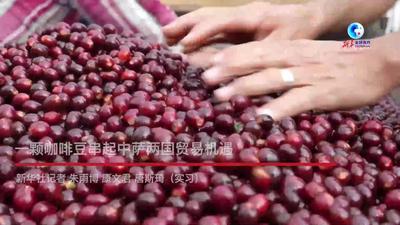全球连线｜一颗咖啡豆串起中萨两国贸易机遇