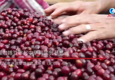 全球连线｜一颗咖啡豆串起中萨两国贸易机遇
