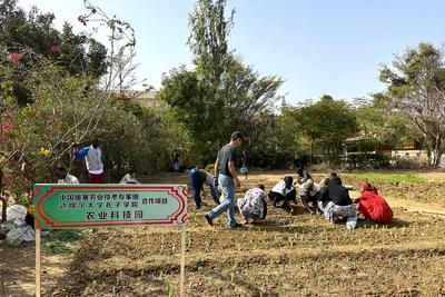 “汉语+农业技术培训”助力塞内加尔农技人才培养   