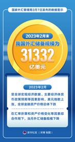 2月末我国外汇储备规模为31332亿美元
