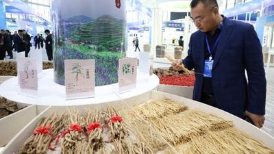 甘肃与东盟加强中医药产业合作