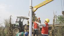 State Grid Yueyang unit steps up efforts to protect birds, wetland ecosystem