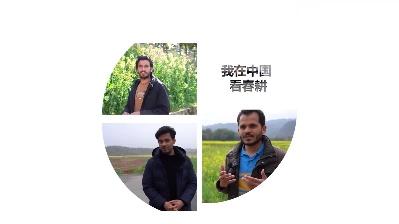 全球连线｜我在中国看春耕：巴铁小伙儿邂逅彩色油菜花海