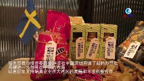 全球连线丨瑞典将鼓励更多企业来华投资