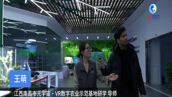 全球连线｜我在中国看春耕：印度留学生探访从泥土到云端的元宇宙农业