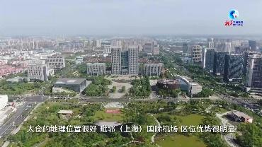 全球连线 | 根在德国 花开太仓