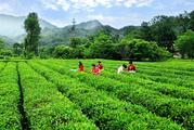 NW. China's Gansu sees booming rural tourism 