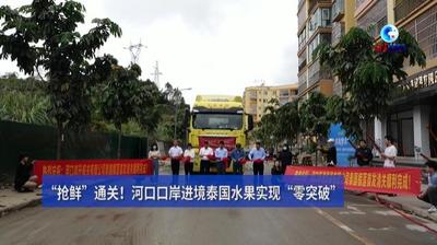 全球连线｜“抢鲜”通关！河口口岸进境泰国水果实现“零突破”