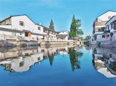 临平区崇贤街道沾桥村建成省级“一村万树”示范村