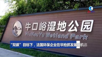 全球连线｜“双碳”目标下，法国环保企业在华抢抓发展新机遇