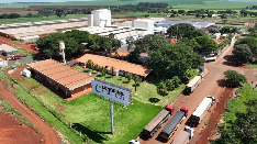 全球连线｜中巴农业科技合作助力高质量发展