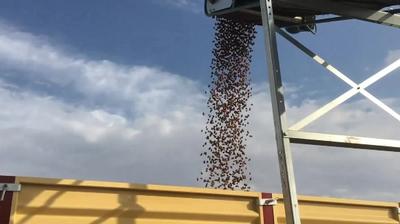 西班牙杏仁获中国市场准入权 业界期待为中国市场提供稳定货源